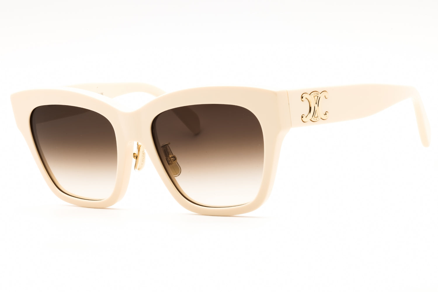 CELINE CL40253F